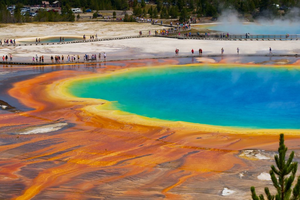 encoredays-Yellowstone-National-Park