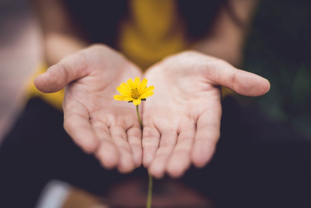 encoredays-mindfulness