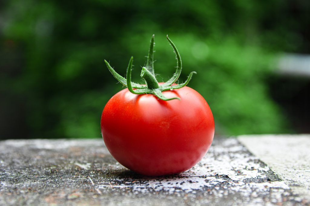 encoredays-tomato